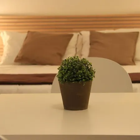 Dalmati House 로마